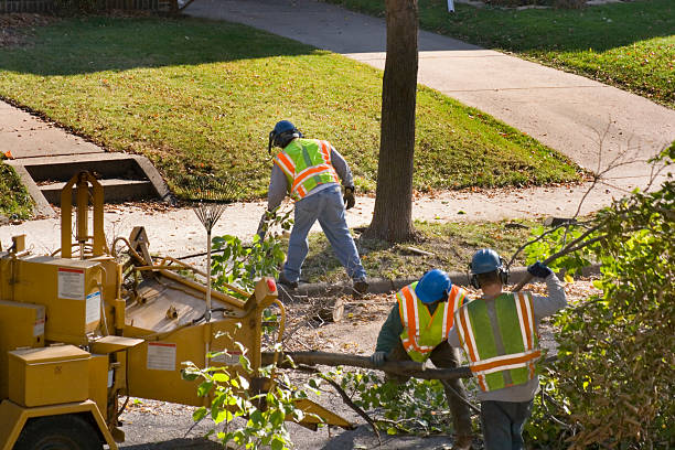Lawn Irrigation Installation and Maintenance in West Sacramento, CA